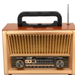 اسپیکر بلوتوث رادیویی مدل NS-2076BT